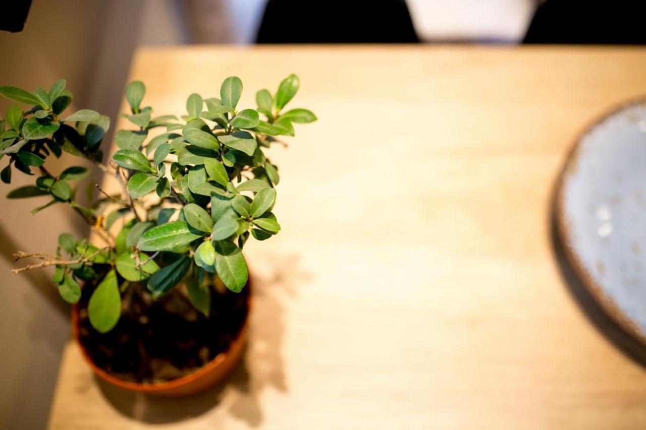 Thess Cozy Living Lejlighed Thessaloníki Eksteriør billede